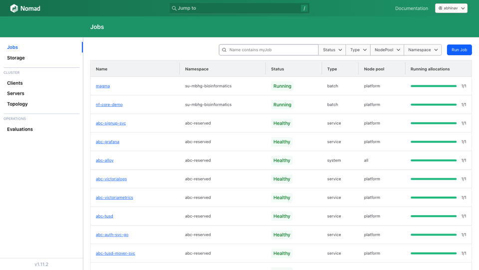 Nomad job dashboard showing healthy platform services